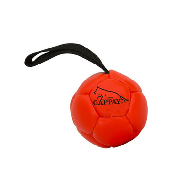 Stoppad boll - Elithund.se